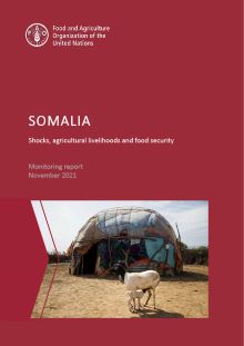 Somalia | Shocks, agricultural livelihoods and food security